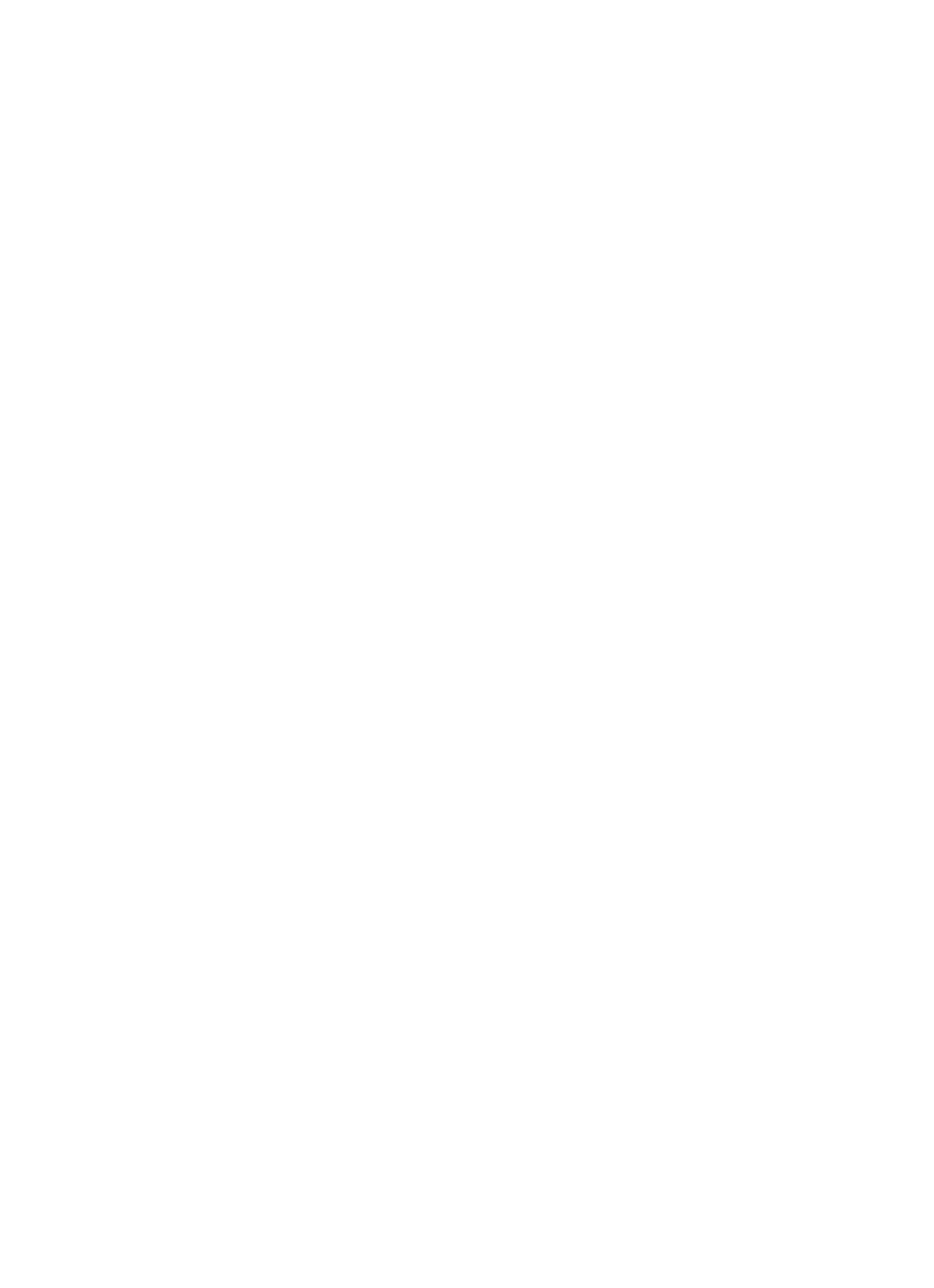 White Spider Web