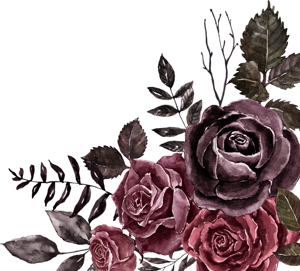 Dark roses corner border, watercolor illustration